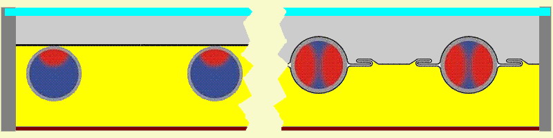 S&iacute;kkollektor metszet
